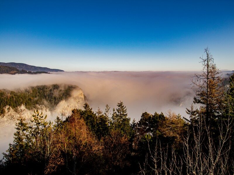 Marsch Steiermark Wandern Orientierungslauf