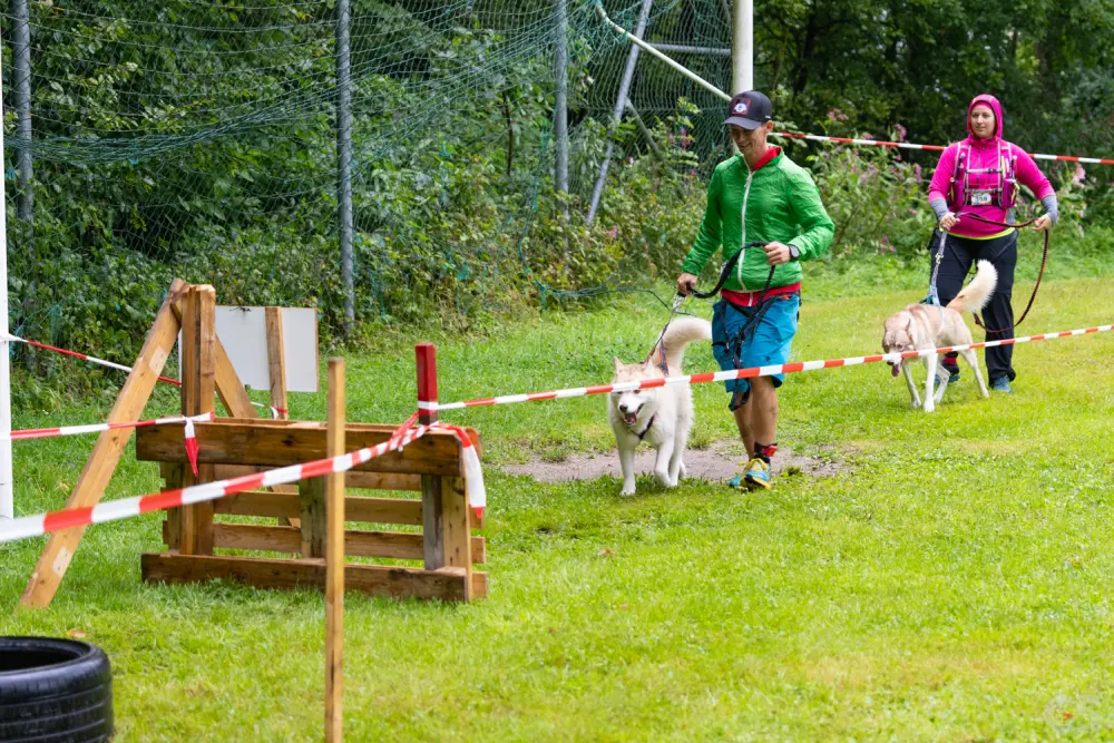 Obstacle Overload
