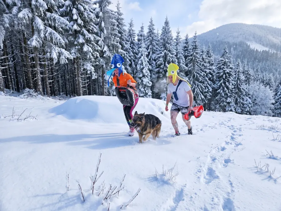 Adventure Dogs